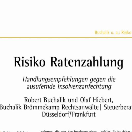 Risiko Ratenzahlung